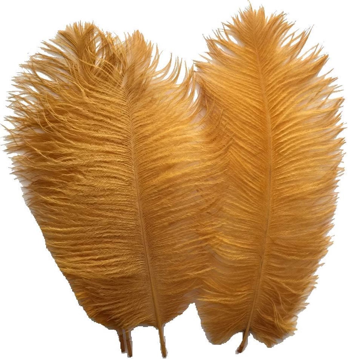 Ostrich veren 25-30cm - Natuurlijk goud - Decoratie voor bruiloften - Creëer unieke sfeer - ShopVlot