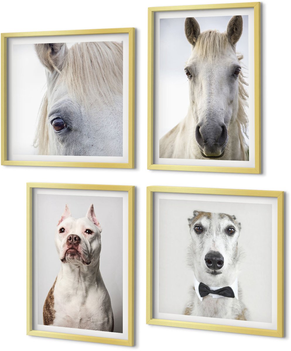 Coloray 4-Delige Schilderij Set - Interessante portretten van honden en paarden in een elegante stijl. - 40 x 40 cm en 40 x 60 cm - Stijlvolle Muurdecoratie - Slaapkamer - Interieur Decoratie
