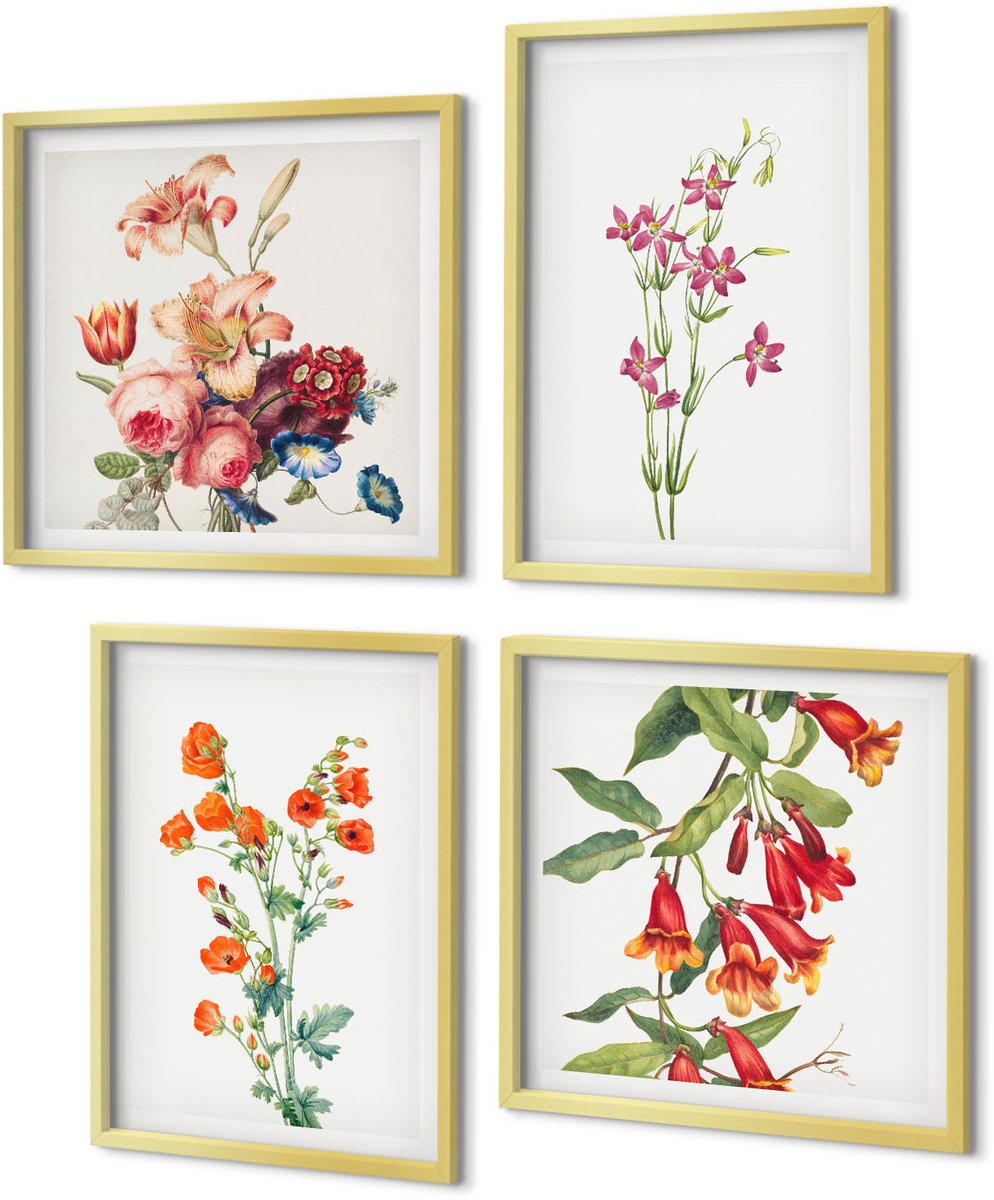 Coloray 4-Delige Schilderij Set - Vintage retro bloemenschilderij - 40 x 40 cm en 40 x 60 cm - Muurdecoratie - Wanddecoratie - Slaapkamer - Stijlvolle Muurdecoratie