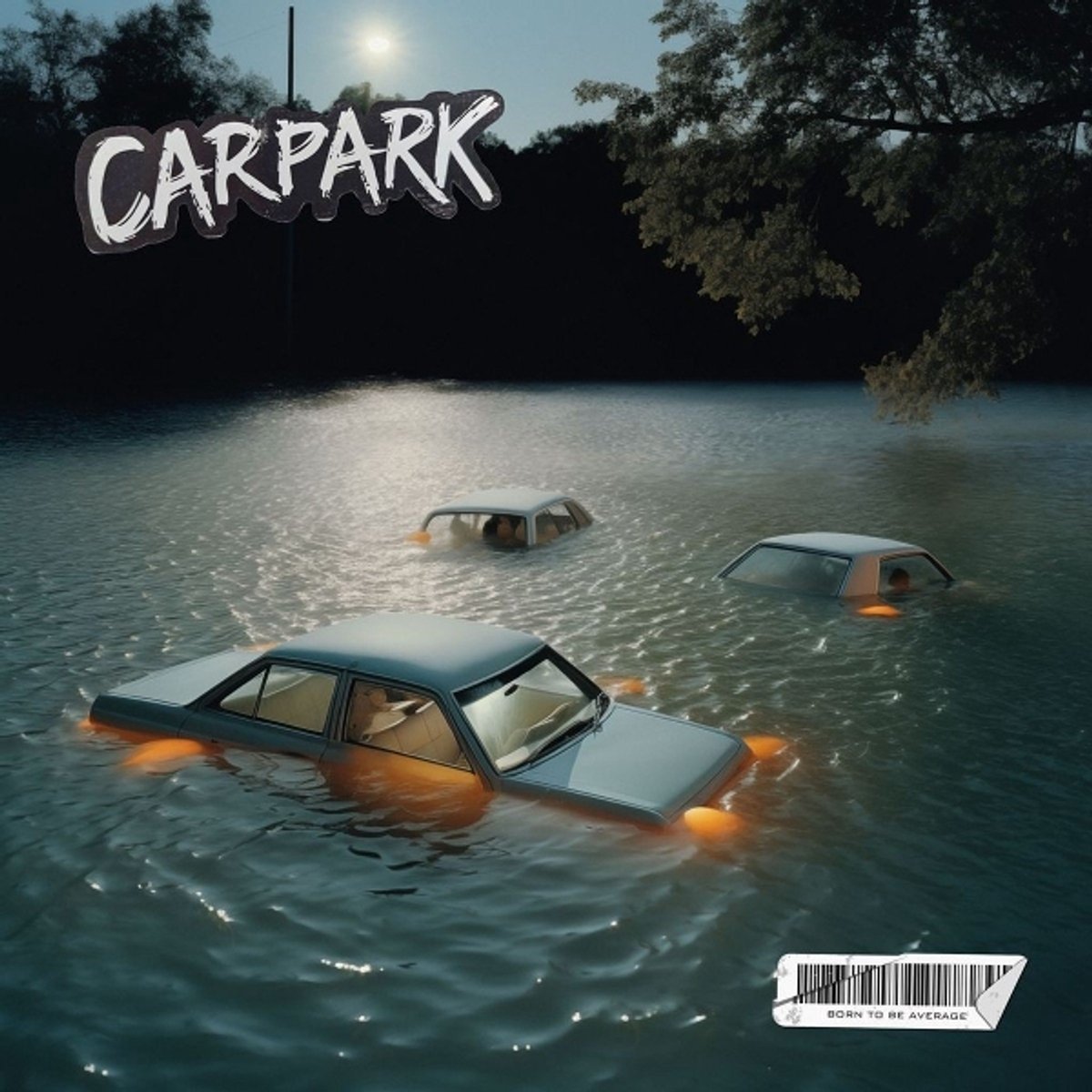 Carpark - Born To Be Average (12" Single)