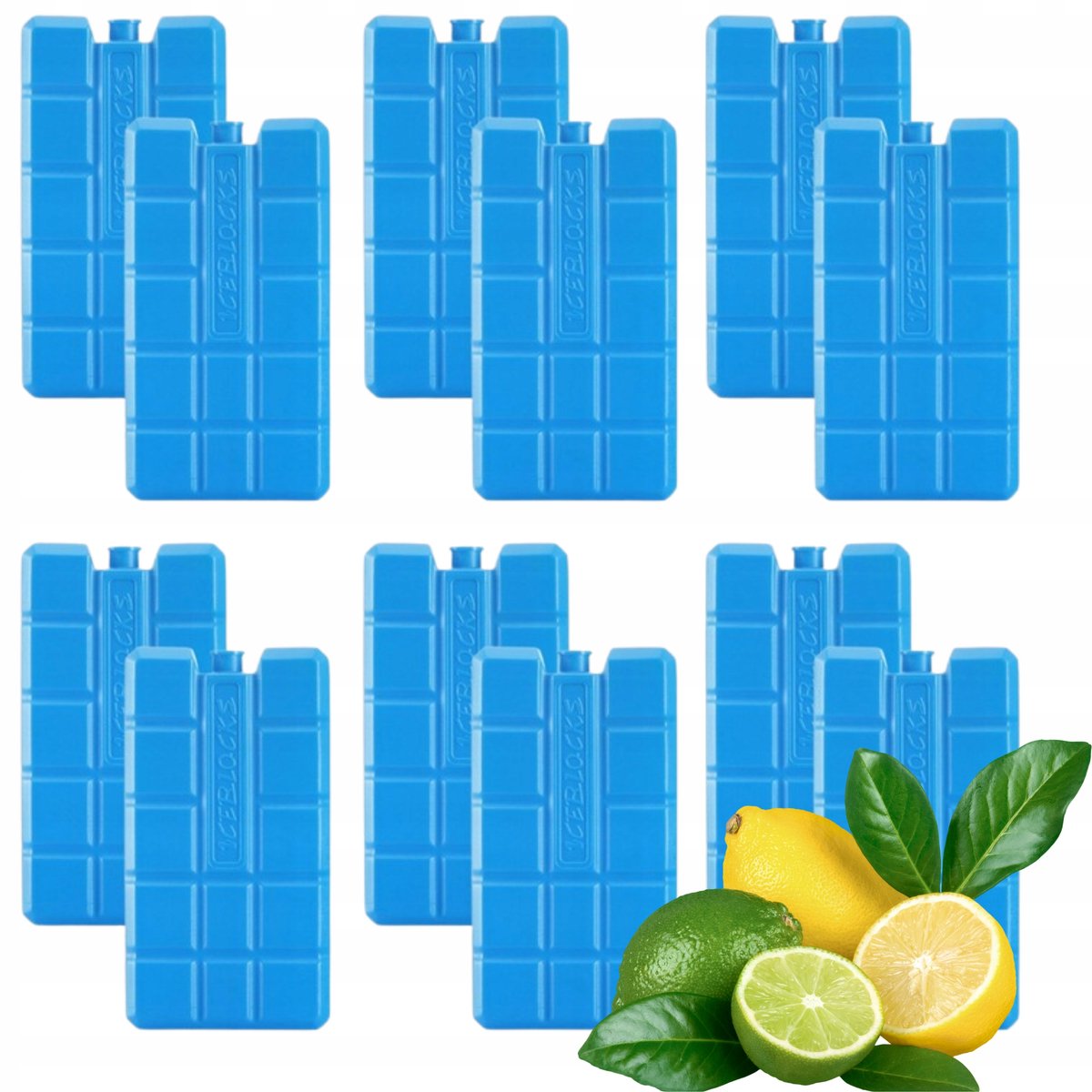 Set van 12 Koel-vrieselementen voor Koelboxen en Tassen (200ml)
