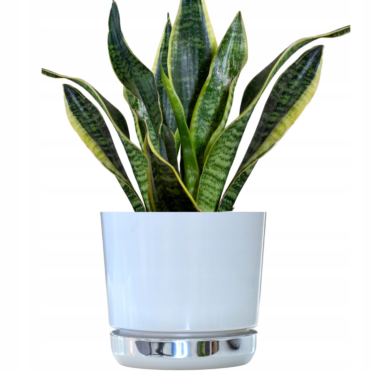 Merkloze Duo Pot 18cm met Schotel, Glanzend Wit met thema IJsland