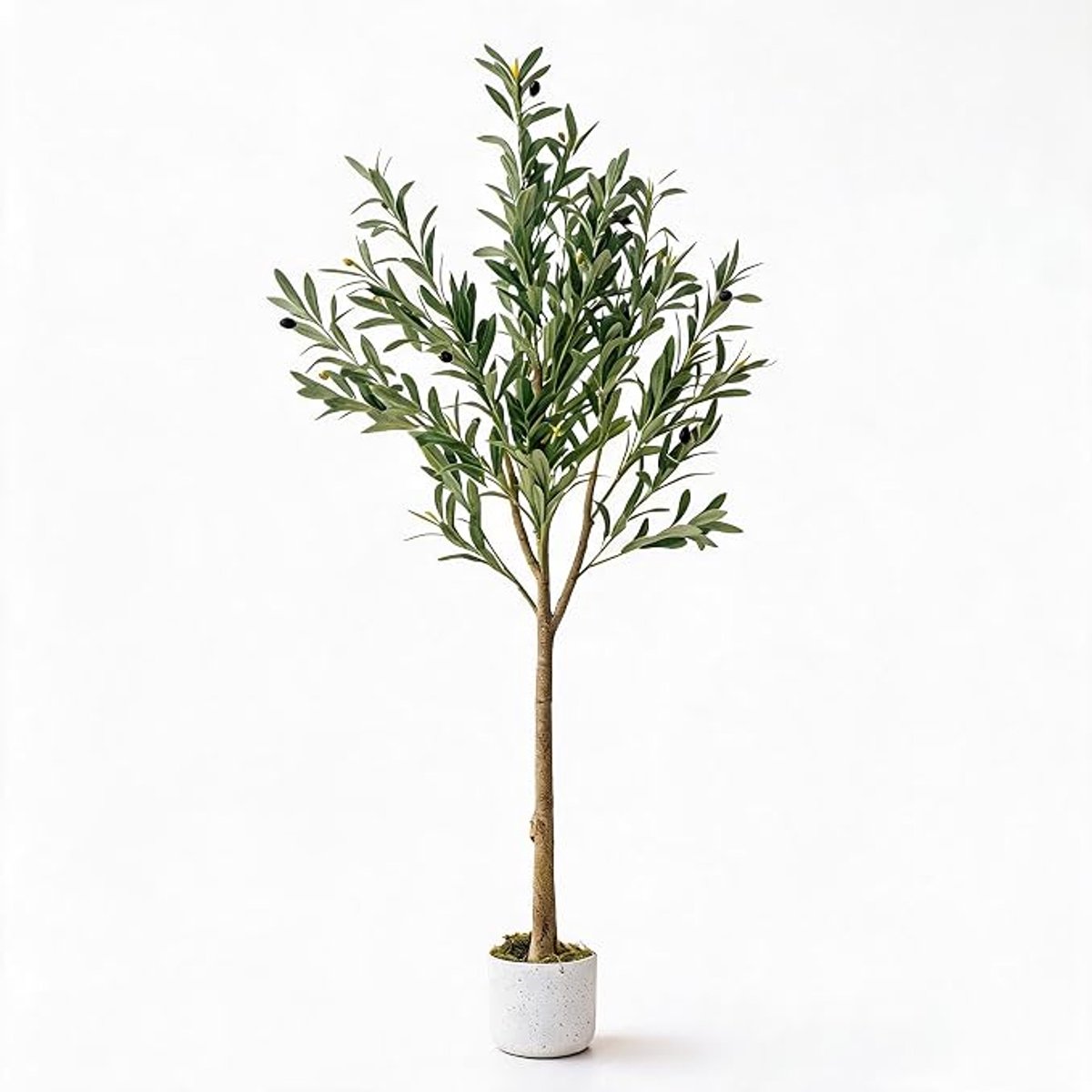 HOERFURIY - Kunst‑Olijfboom - 135cm, milieuvriendelijke stam, 22 olijfvruchten inclusief minimalistische pot
