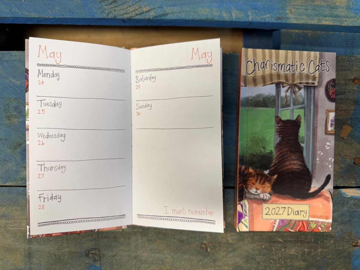 Alex Clark Diary 2027 Small Pocket Charismatic Cats ~ Katten Agenda 2027