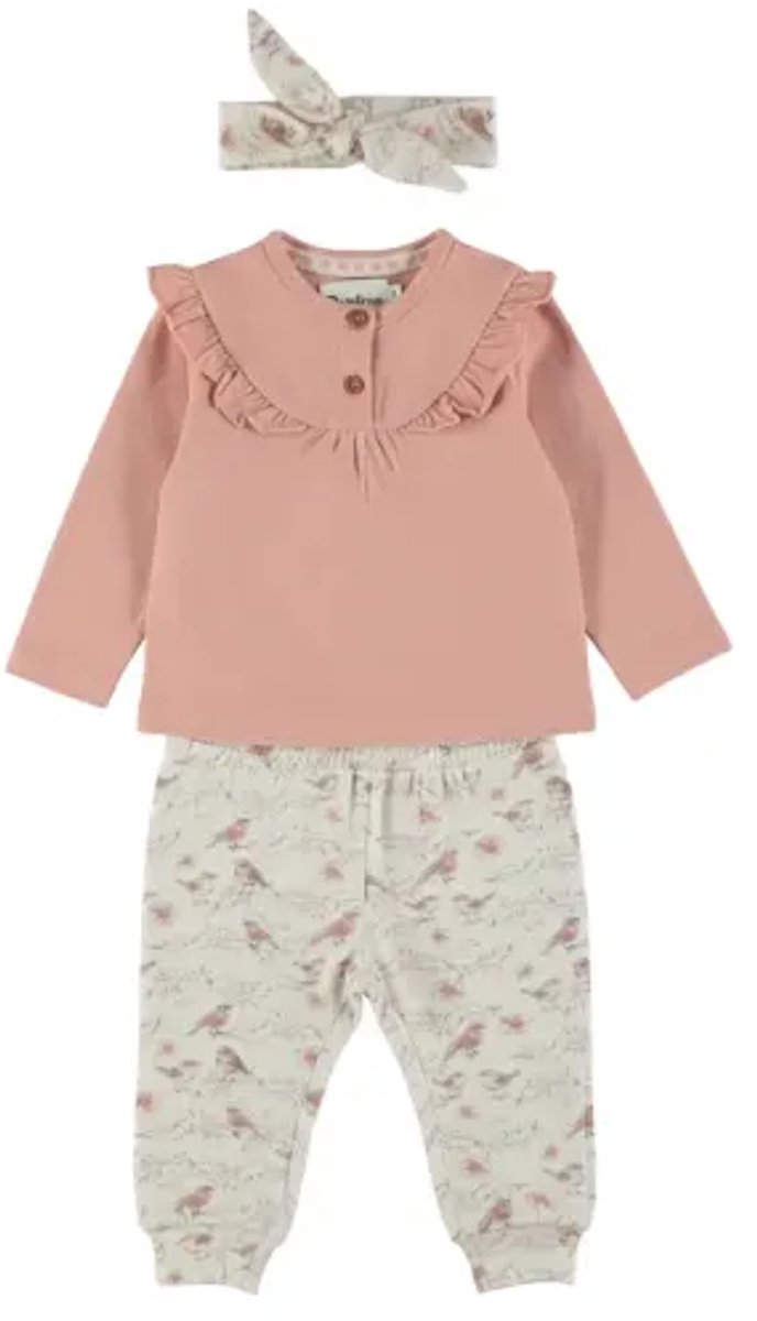 Dirkje Meisjes 3-delige Kledingset - Misty rose maat 56