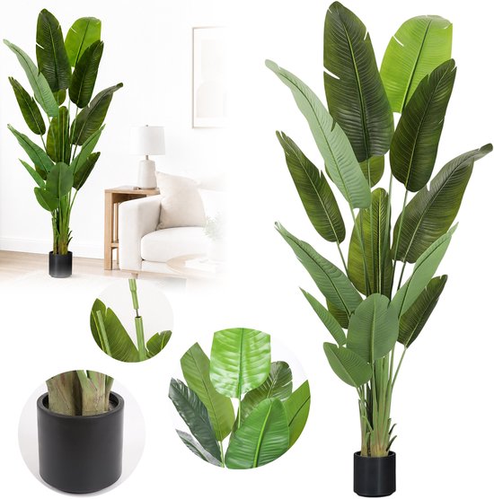Een Strelitzia kunstplant in een zwarte pot, met close-ups van de bladeren, stam en installatie-instructies.