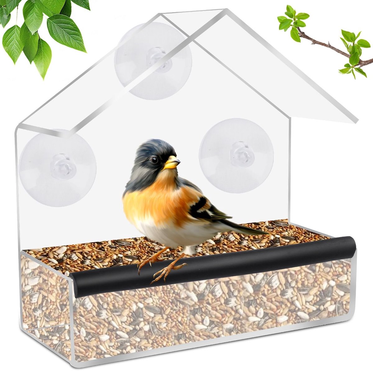 Solidchoice - Vogelhuisje voor Ramen met Zuignappen - Transparant