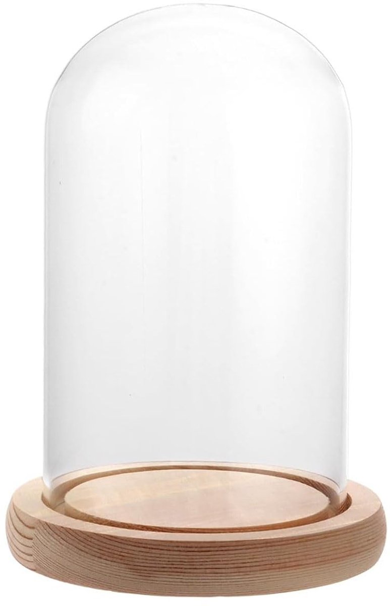 Solidchoice - Houten Basis Glazen Cloche - Perfect voor Bloemdecoraties