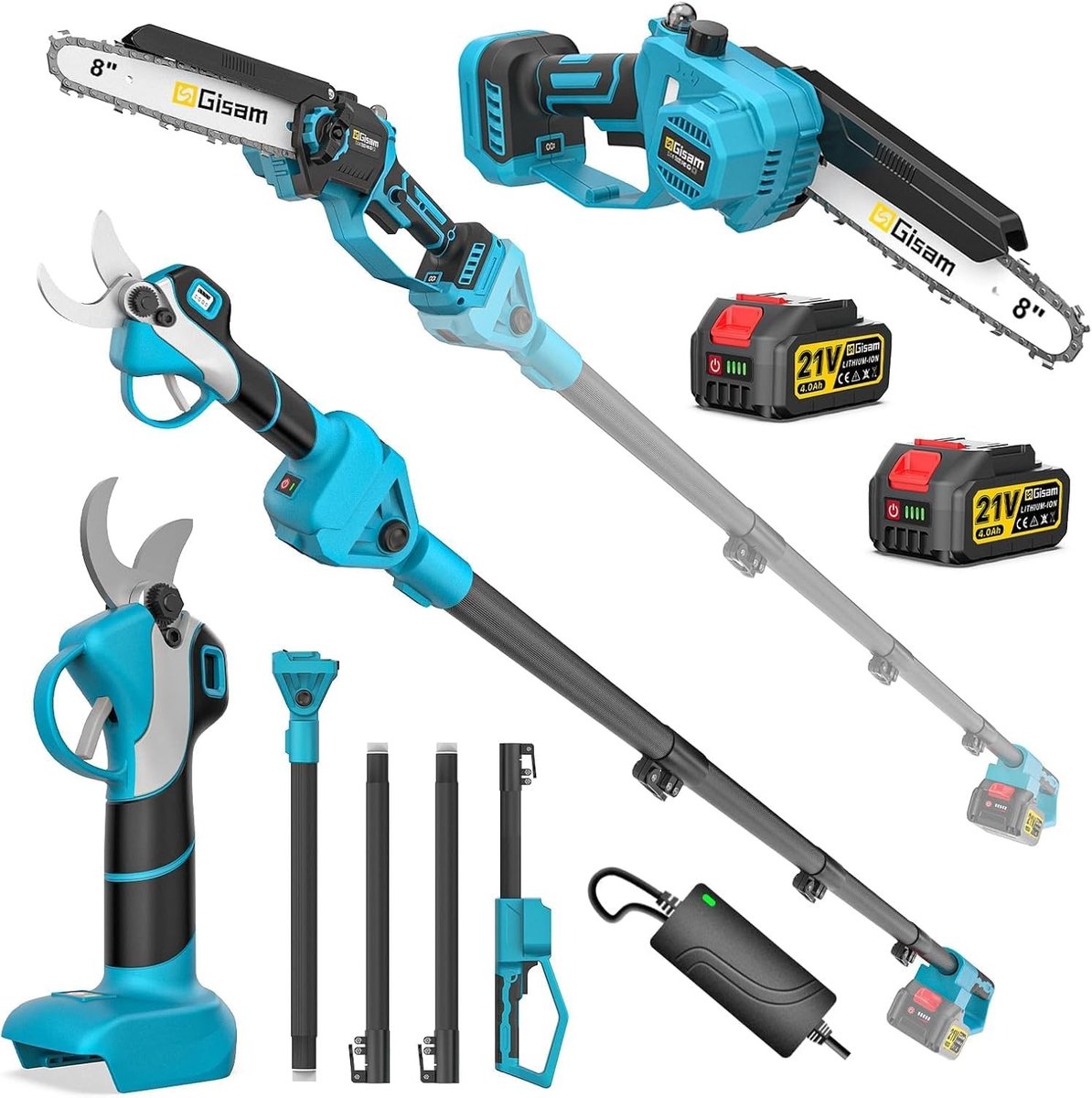 Mini-kettingzaag en accu - Zwart - Telescoopstang tot 4,2 m - 4-in-1 Tuingereedschap met Borstelloze Motor - Voor Tuinonderhoud