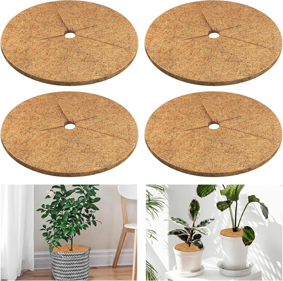 Solidchoice - Kokos Mulchschijven - 4 Stuks, 20 cm Ronde Kokosvezelmatten