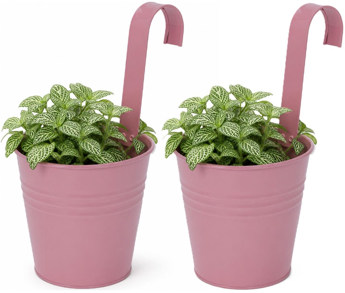 Progarden Bloempotje met haak - 2x - plantenbak zink met ophanghaak - roze - 20 x 13 x 26 cm - ophangbaar- Balkon/schutting plantenpot