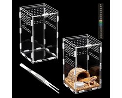 Ruim 20 x 12 x 12 cm Acryl Terrarium voor Reptielen met Thermometer, Tweezers en Ademend Deksel voor Optimale Groei van Schorpioenen en Miljoenpoten