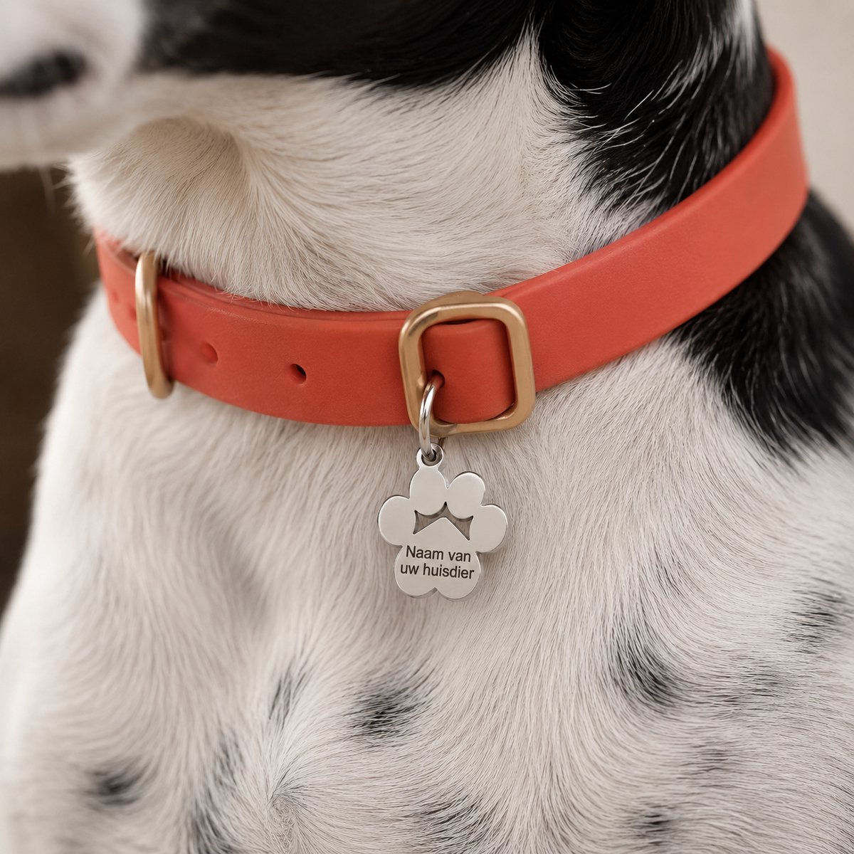 Gepersonaliseerde Hondenpenning Pootvorm - Kattenpenning / Huisdierpenning - Gegraveerde RVS ID-tag met naam, telefoonnummer en adres - Dubbelzijdig naamplaatje - Zilver - 15 mm