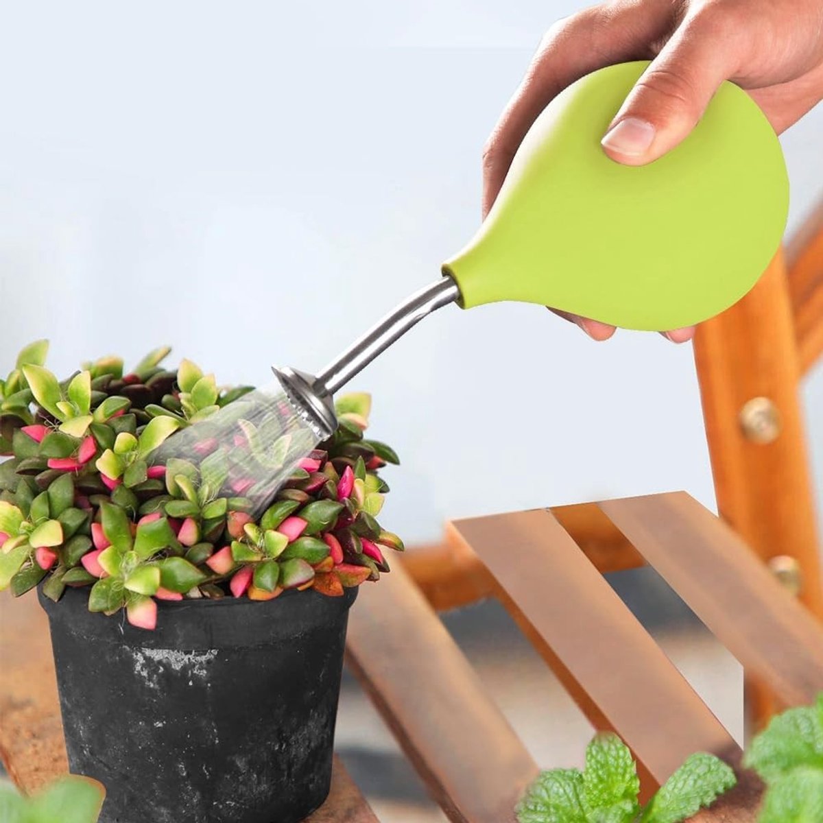 Gietsproeier met roestvrijstalen schenktuit voor kleine planten, stekken en bloemen