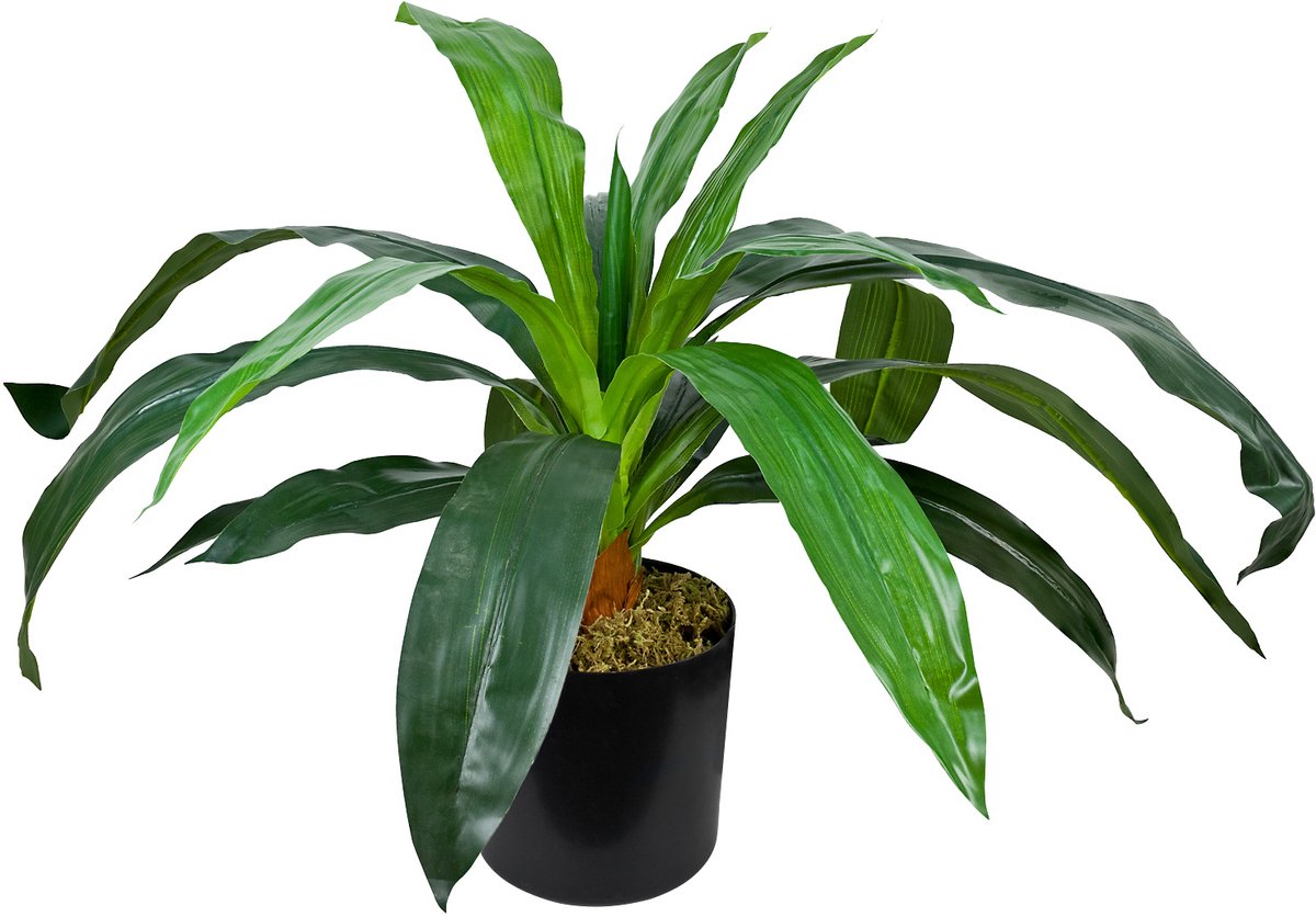Decovego Kunstmatige Drakenboom, Kunstplant, 45 cm, Tropische Decoratie voor Thuis & Kantoor, Allergievriendelijk & Gemakkelijk te Verzorgen
