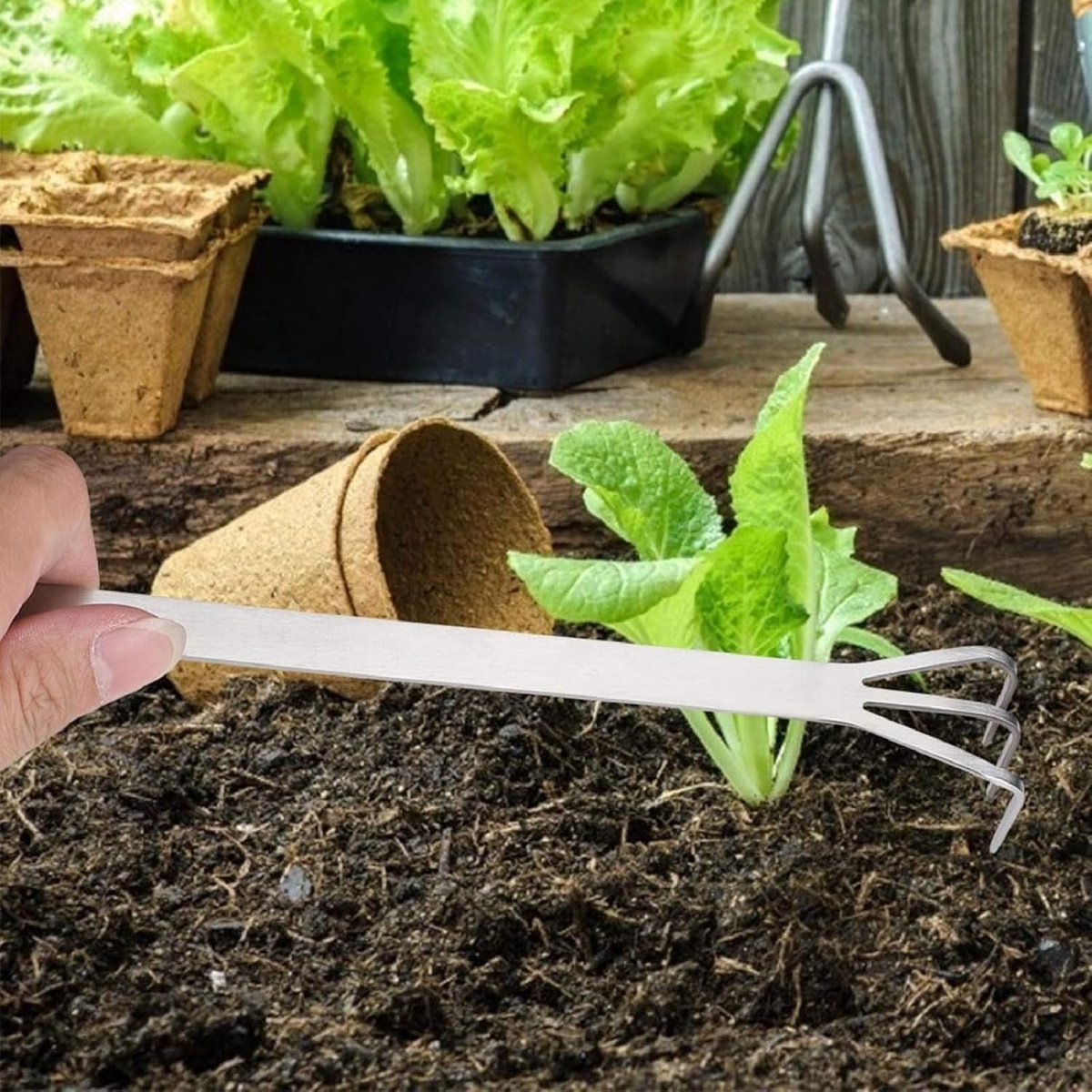 SnelShoppen - Rake Bonsai - Roestvrij Stalen Wortelriek 3-Punts Tuingereedschap voor Bonsai Bomen met Ergonomische Handgreep - Tuinieren, Grondbewerki