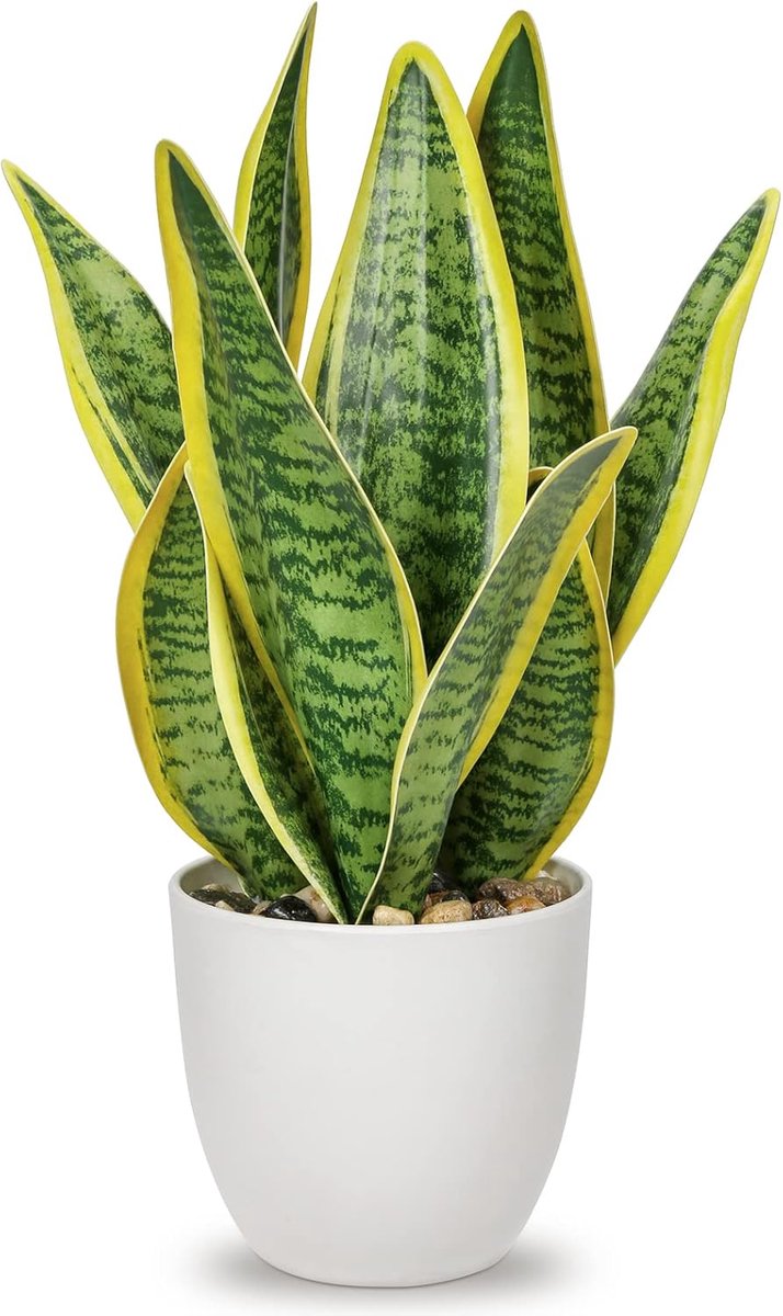 SnelShoppen - Kunstplant Sansevieria in Keramische Pot, Kleine Binnenplant, Kunstmatige Snake Plant, Onderhoudsvrij, Perfect voor Badkamer, Slaapkamer