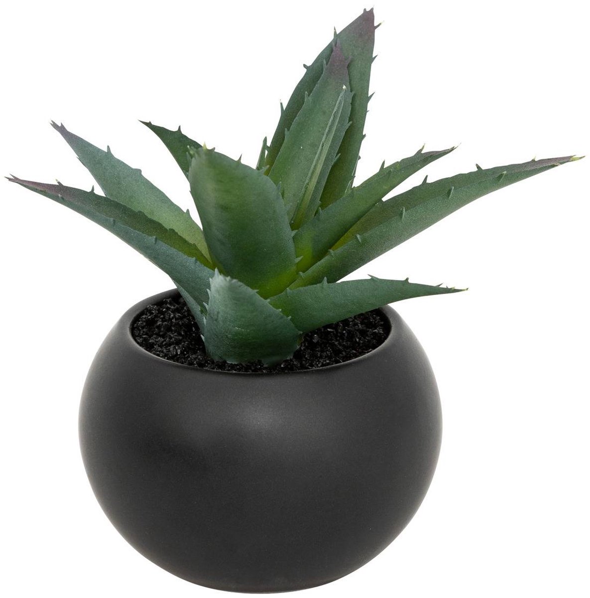 Vetplant in pot ANDA