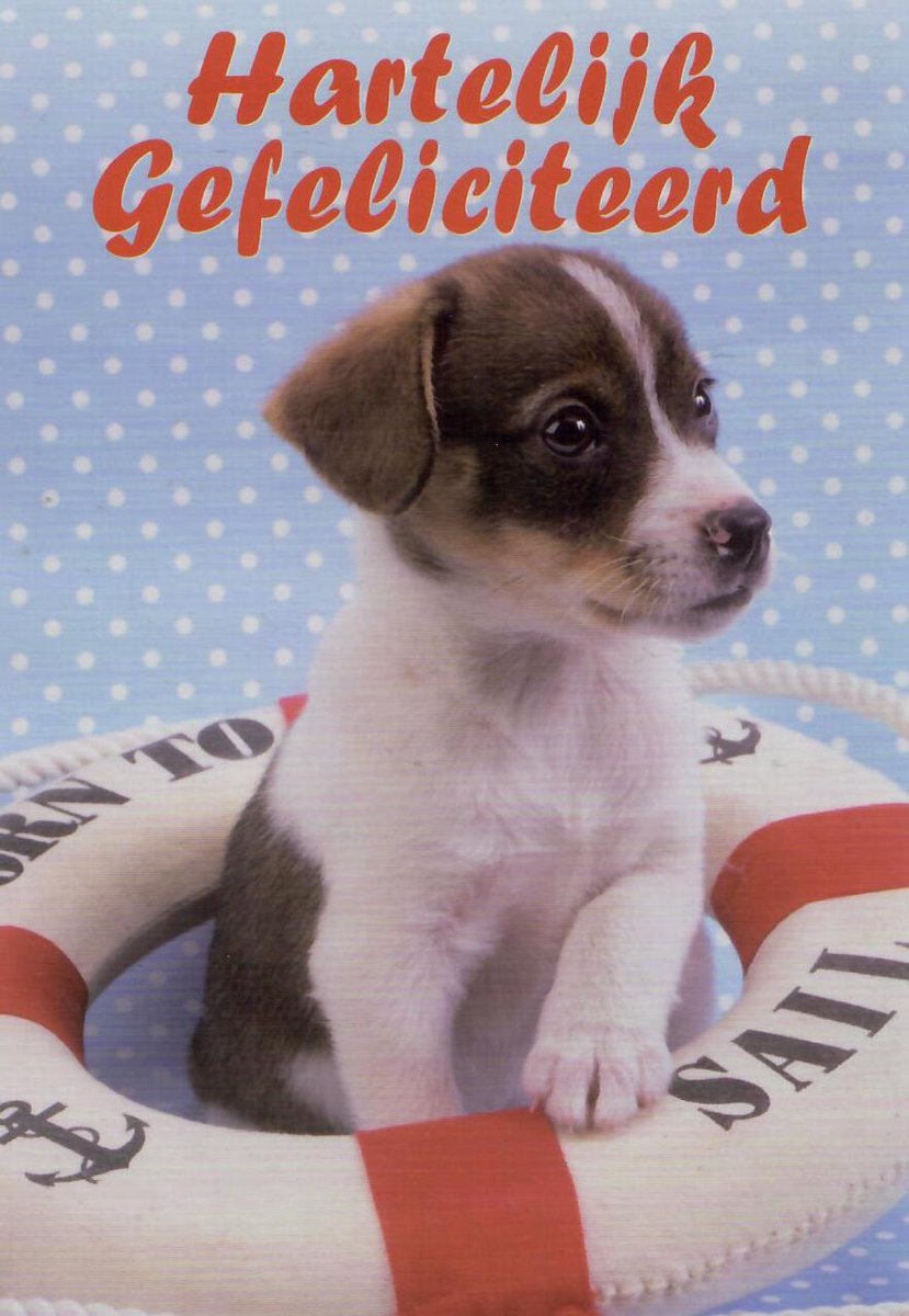 Verjaardagskaart dier | Wenskaart | 10 stuks | Hartelijk gefeliciteerd