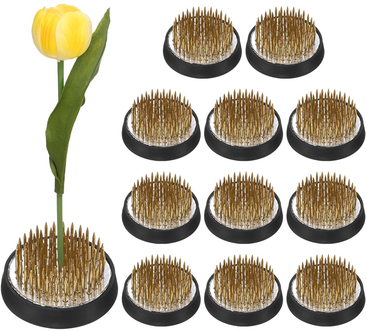 Omgoods - 12 Stuks Bloem Kikker met Rubber Basis voor Bloemstukken