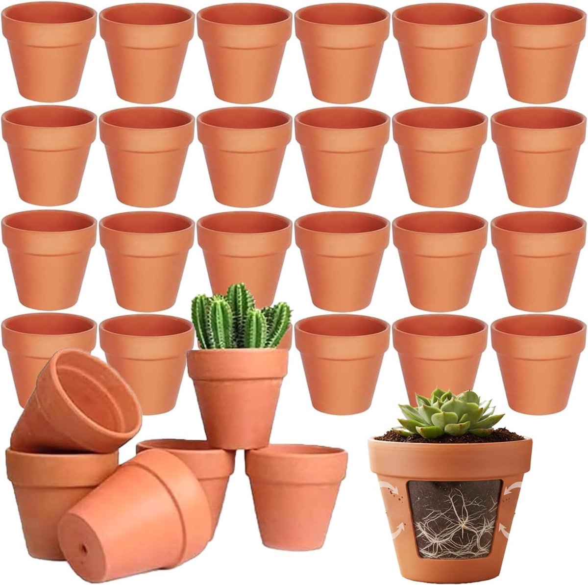 Set van 24 kleine terracotta potten met afvoergat, ideaal voor vetplanten, cactussen en tuindecoratie, herbruikbaar en duurzaam