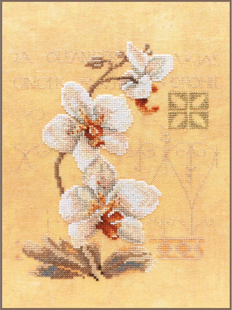 Borduurpakket Kruissteek Schilderij DRIE ORCHIDEEËN Handwerkpakket voor Wanddecoratie 17 x 23 cm Borduurwerk met Telpatroon DIY Kit Moderne Kruissteek Cadeau Knutselen Voor Volwassenen