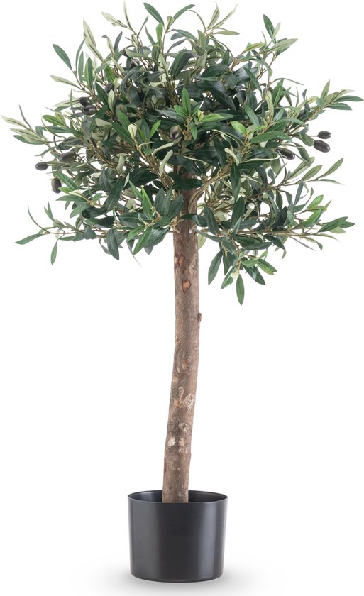Kunst olijfboom met olijven in zwarte pot, tegen zwarte achtergrond.