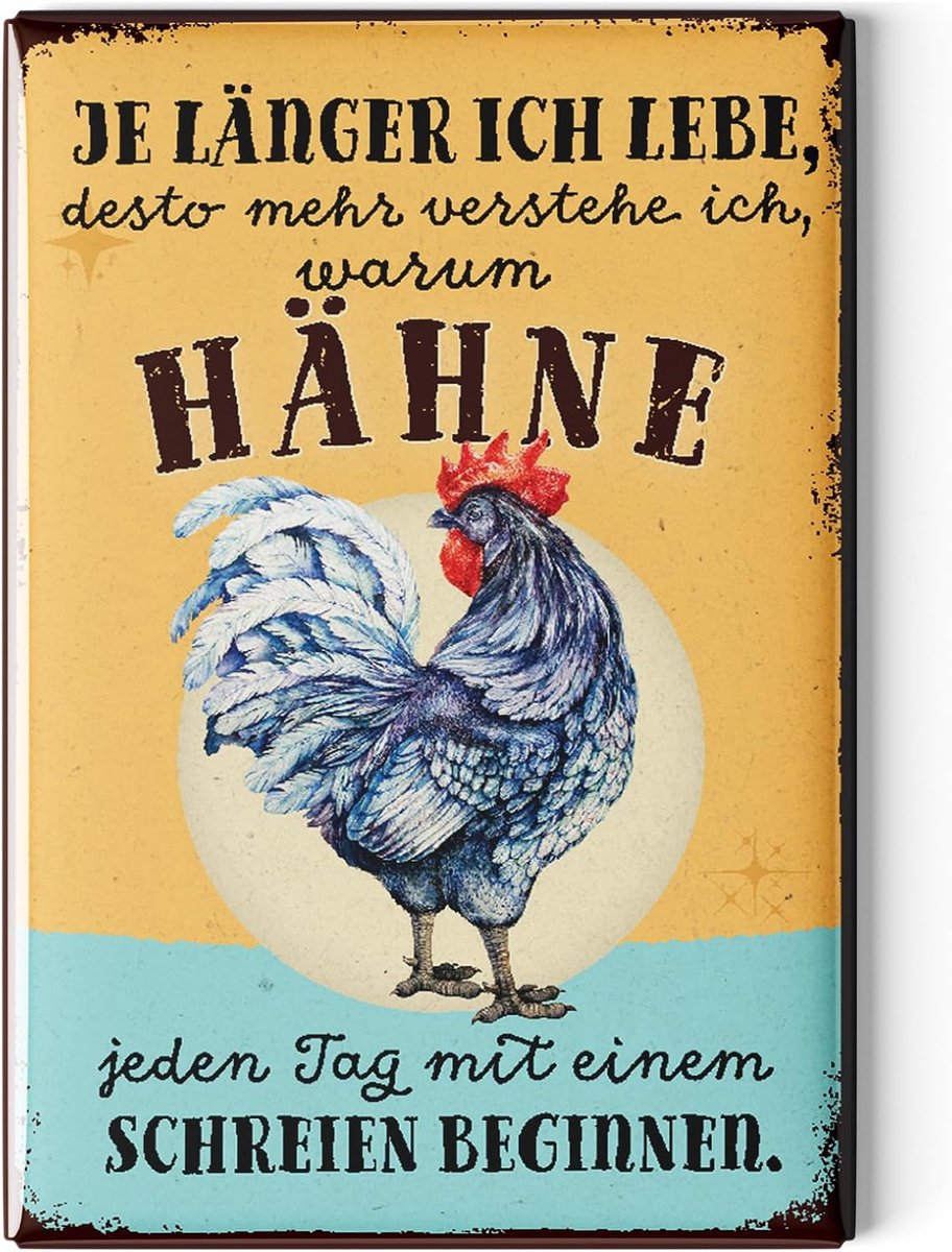 Fridge magnets grappig - 8 x 5.5 cm - retro ontwerpen - breng plezier in je keuken - ShopVlot