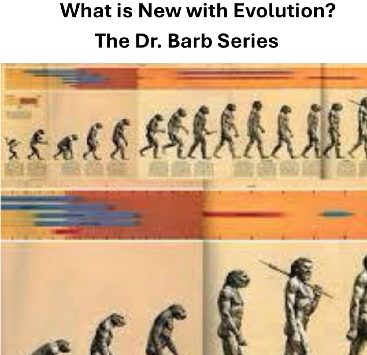 Is New with Evolution: The Dr. Barb Series