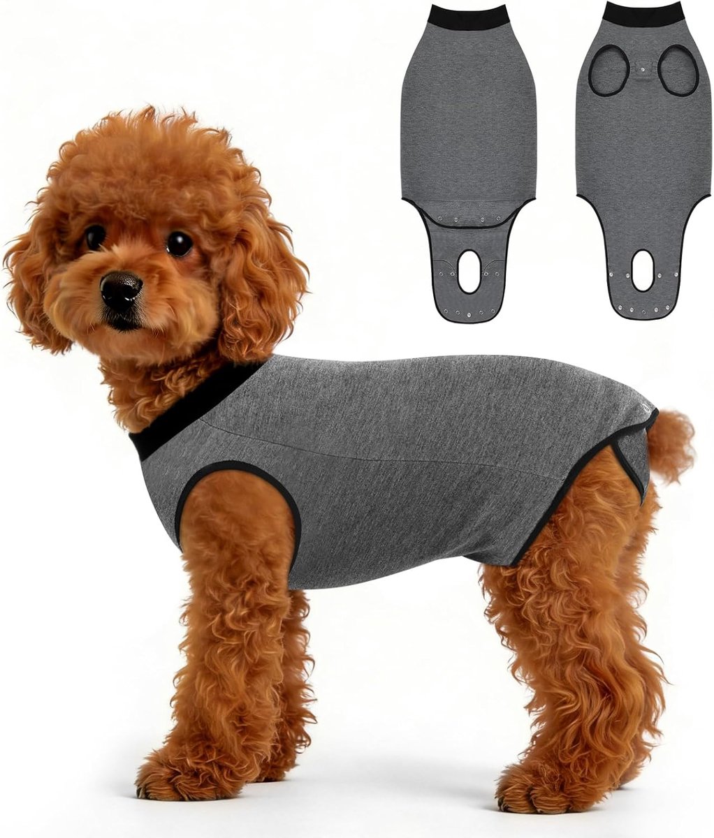 Herstelpak voor honden, bodysuit voor honden, anti-likken, medische chirurgische pakken voor puppy's, buikwonden, beschermer voor mannelijke castratie, onesie, postoperatieve honden