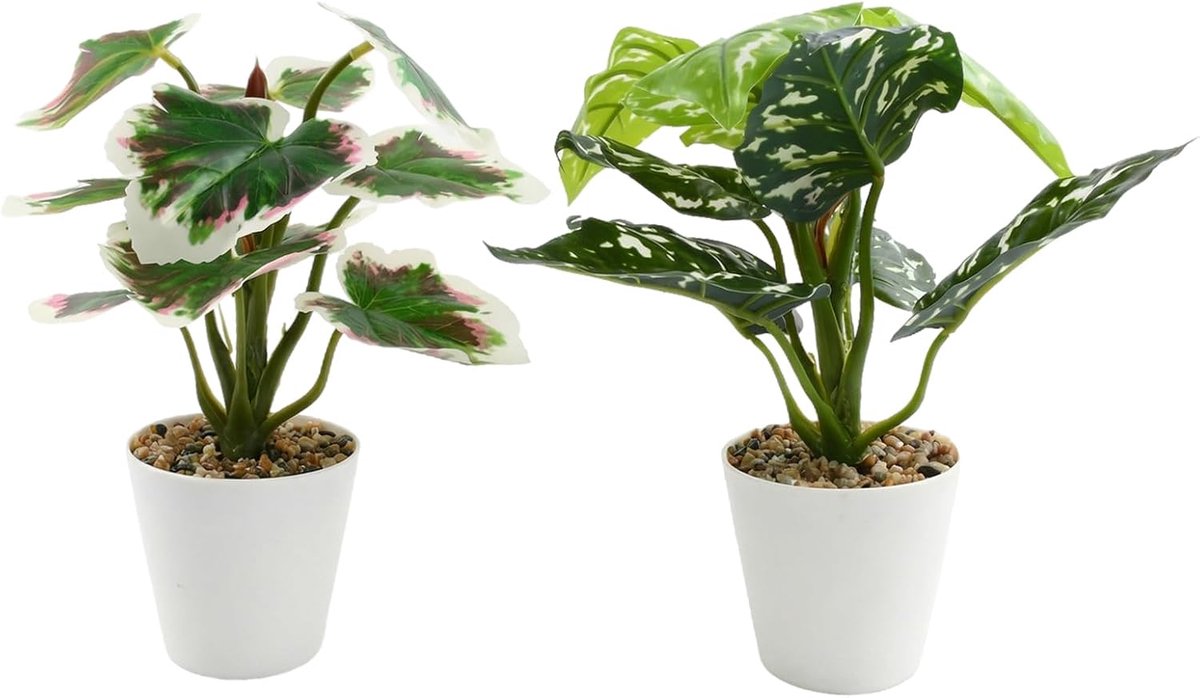 Kunstplanten set van 2 - 31 cm hoogte - realistisch ontwerp - onderhoudsvriendelijk voor woning - m-winkel