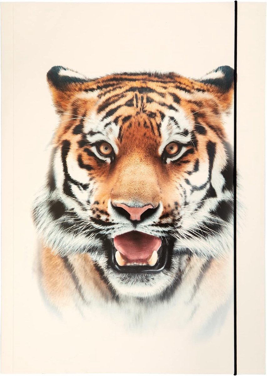 Folia 69004 - Map A3 Basic Roaring Tiger, van stevig karton met elastiek
