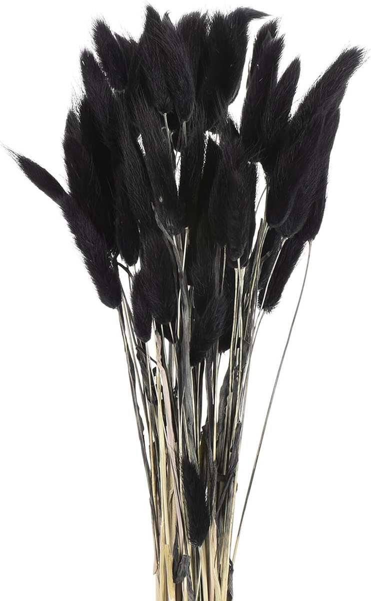 60 stuks konijnenstaarten, natuurlijke gedroogde bloemen, 43,2 cm, mini-hazenstaart, lagurus ovatus, bloemenboeket voor bloemendecoratie, bruiloft, Kerstmis, zwart