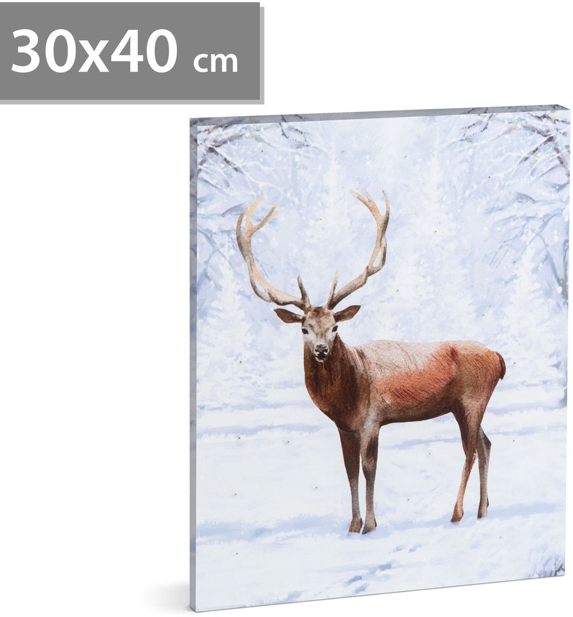 LED-afbeelding - rendier - 2 x AA, 30 x 40 cm 1 Stuks [58475]