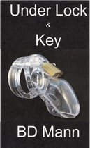 Under Lock & Key: An Erotic Tale of Male Chastity