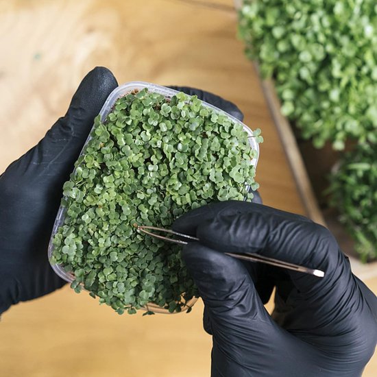 4 stuks pincetten van roestvrij staal, multifunctionele pincetten, rechthoekige pincetten van roestvrij staal, geschikt voor waterdieren of voor het maken van sieraden (zilver) — afbeelding 2