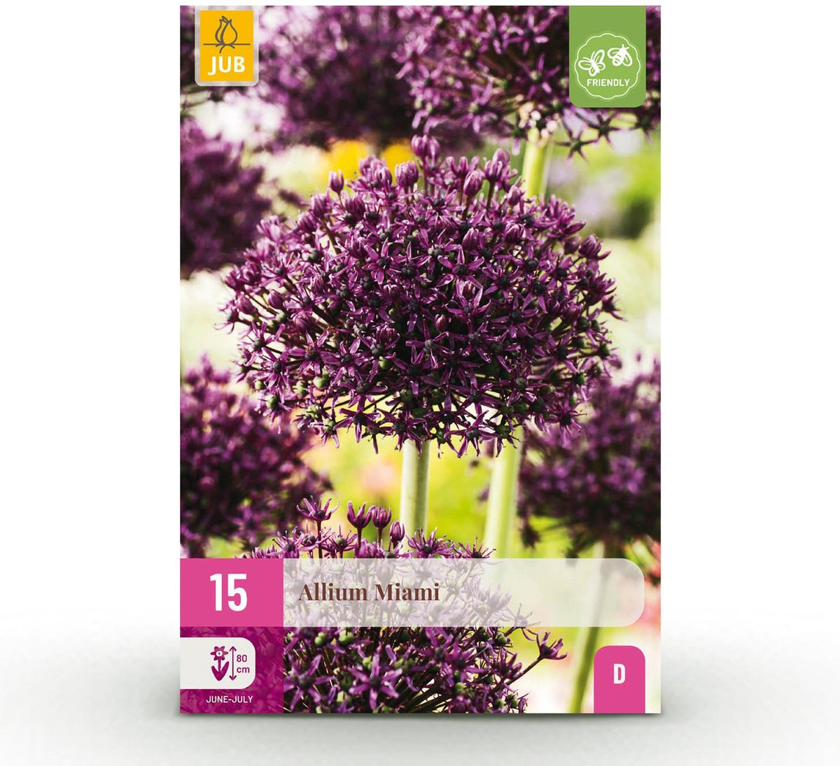 Bloembollen - Allium Miami - Kleur Paars - 15 stuks - Bolmaat 10/11 - XXL Pack