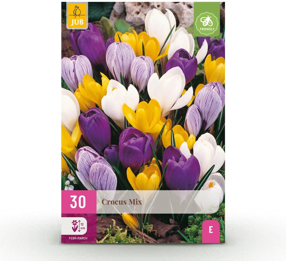 Bloembollen - Crocus Large Flowering mix - Diversen kleuren - 30 stuks - Bolmaat 7/8 - XXL Pack