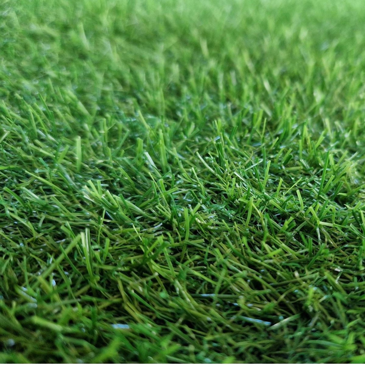Merkloos Kunstgras Cilantro Groen 4m Breed - Dicht & Hoge Kwaliteit