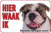 Bord - Hond Engelse Bulldog