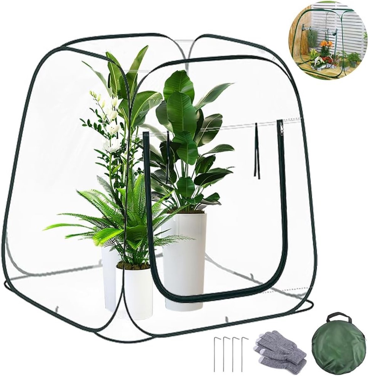 Wintertent voor Planten 98 x 98 x 98 cm - Transparante Kweekkas zonder Montage voor Groenten en Bloemen, Ideaal voor de Winter