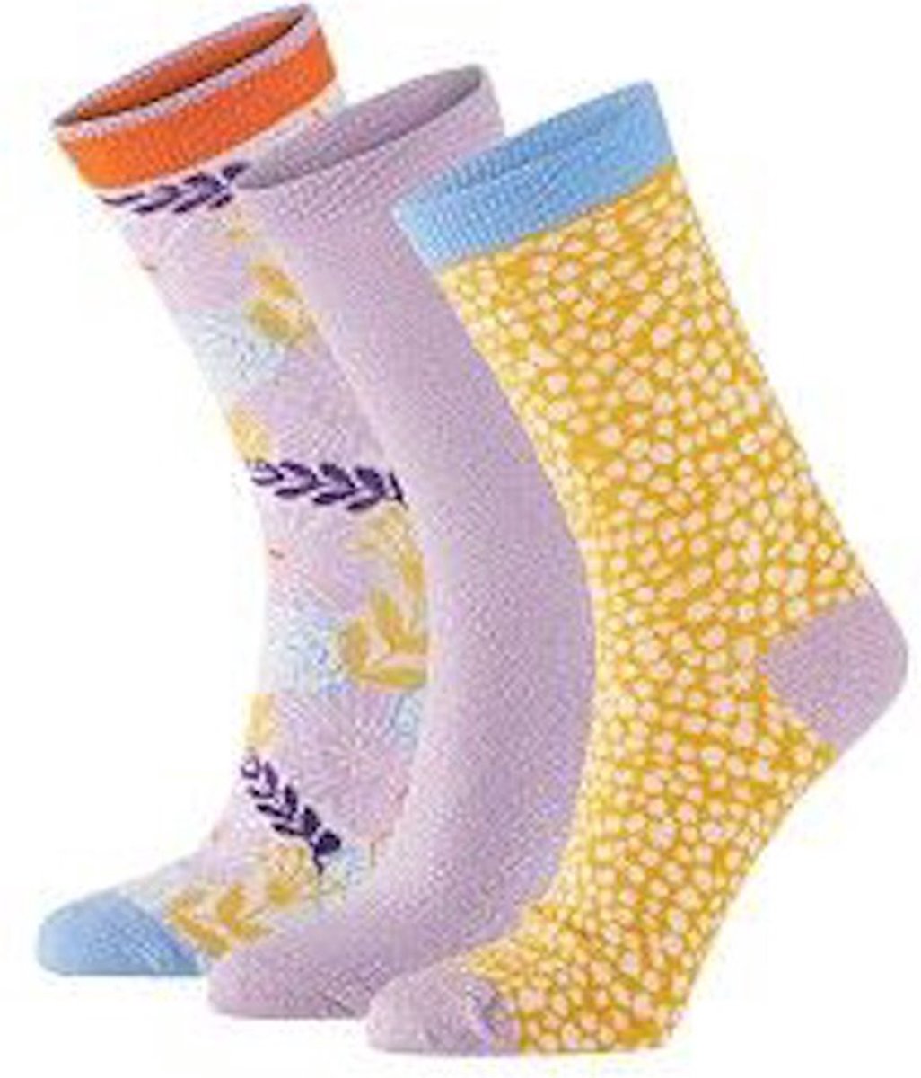 Apollo dames sokken gift box maat 36/41 violet