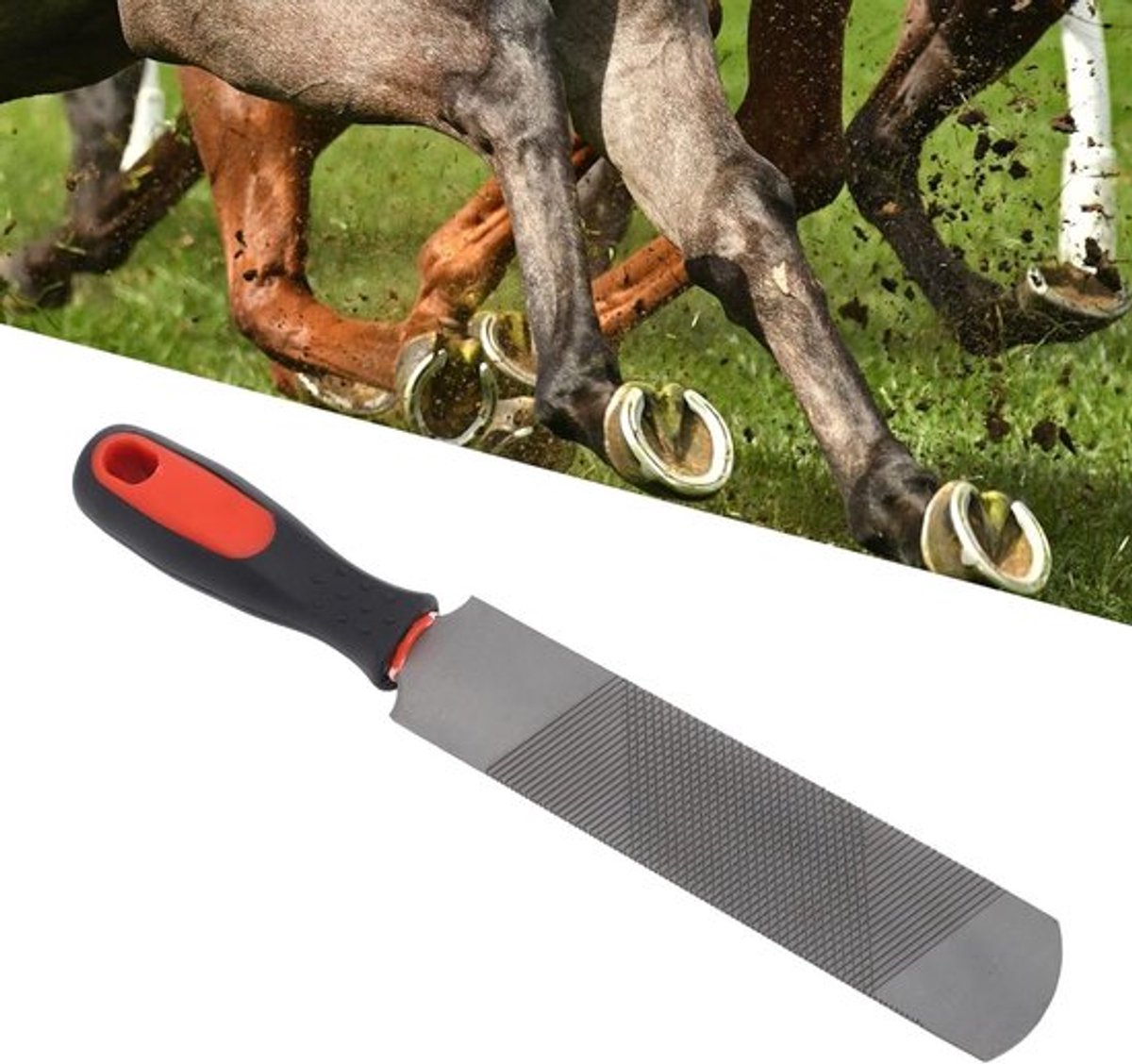 Hoefijzerras en Flexibele Handgreep voor het Vijlen van Hoefijzers, Geschikt voor Paarden, Geiten en Runderen, Duurzaam Koolstofstaal, Ideaal voor Hoefverzorging