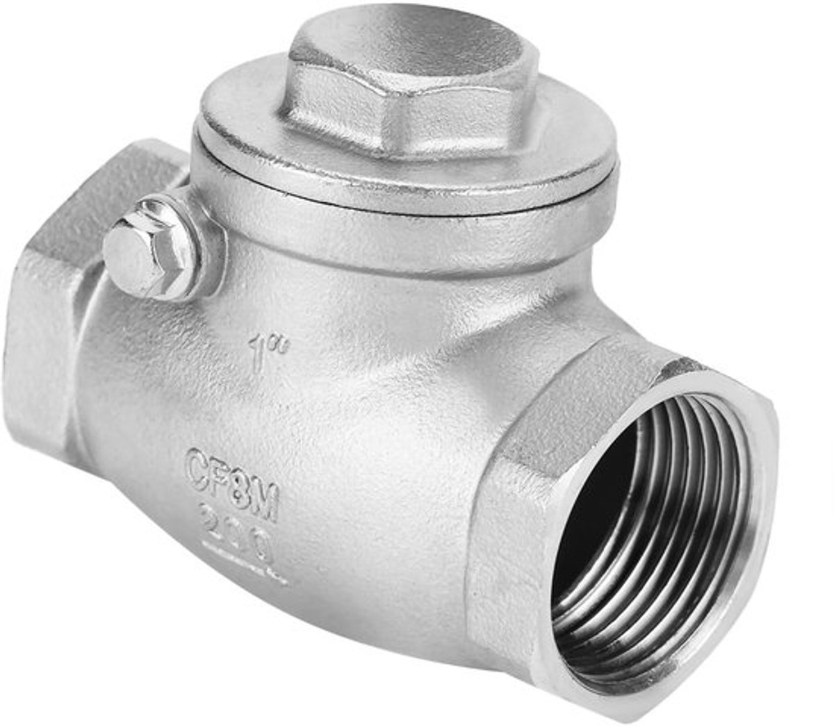 Terugslagklep - Roestvrij Staal - Hoge Drukbestendigheid - 1 Inch - Eenrichtingsklep - Voor Water en Oliën - Industrieel