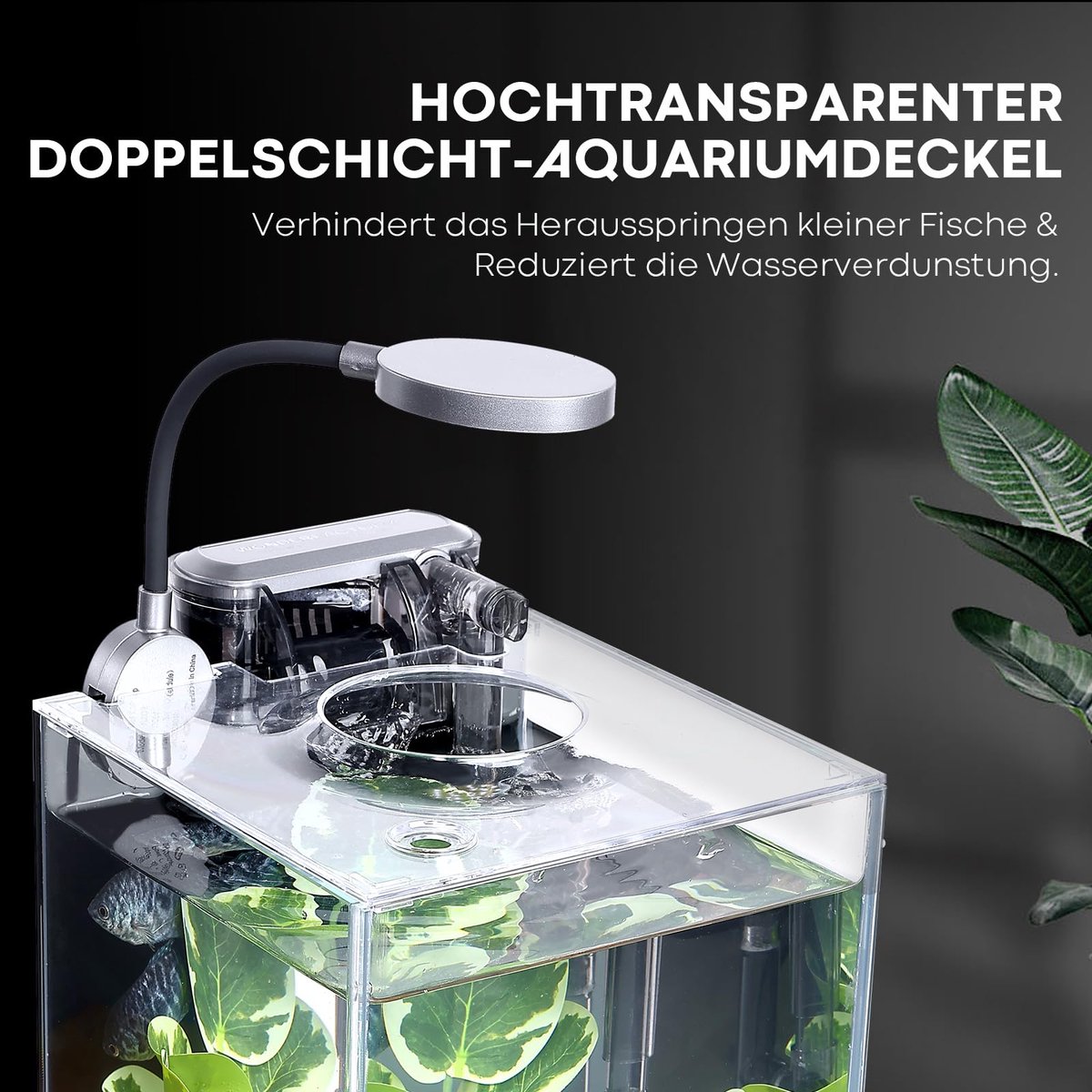 SnelShoppen - Desktop Betta Klein Aquarium Glazen 5 Liter Complete Set met Zelfreinigend Filtersysteem, Helder LED Licht, Grind, Plant en Reinigingsge thumbnail 6