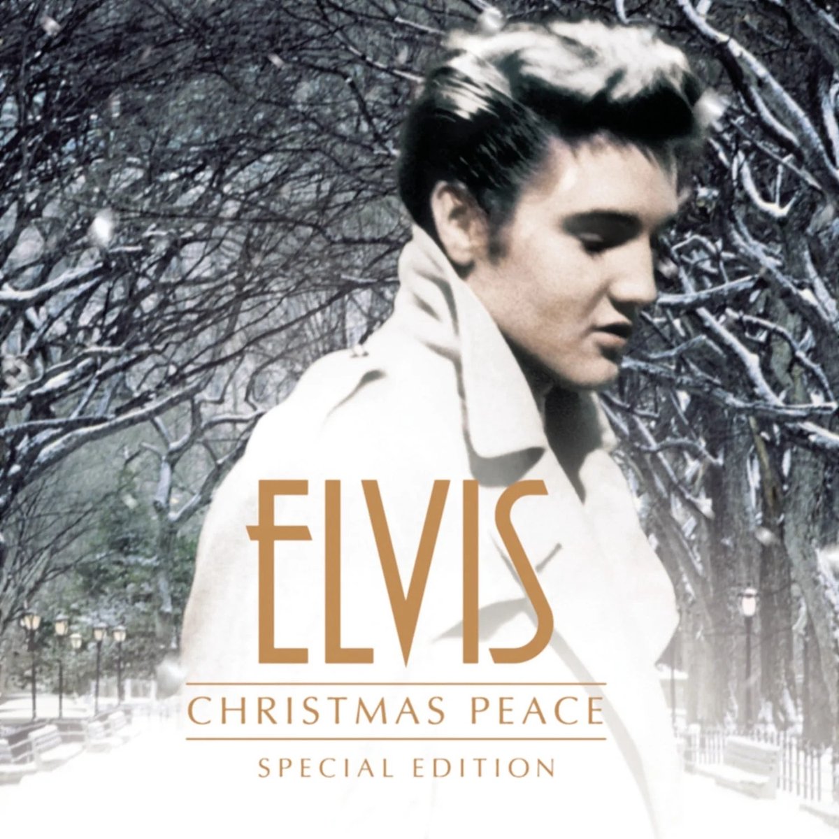 Christmas Peace