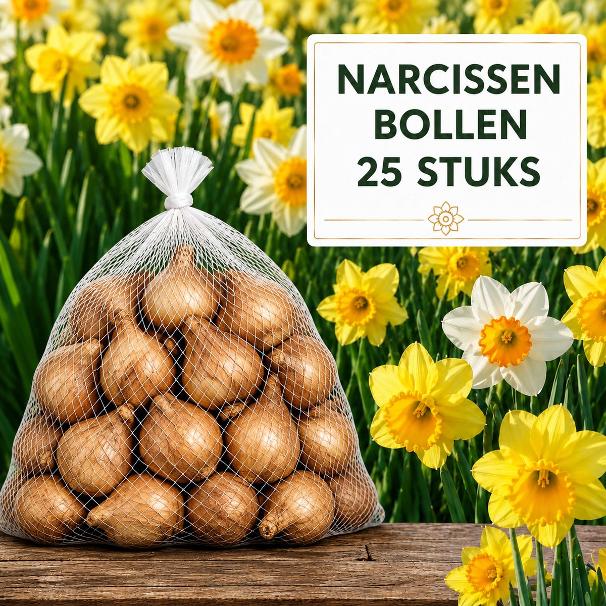 Narcissen Bloembollen - 25 stuks - Bloem Bollen Mix - Voor Tuin of Pot - Maat 12+ - Vers van de Teler!