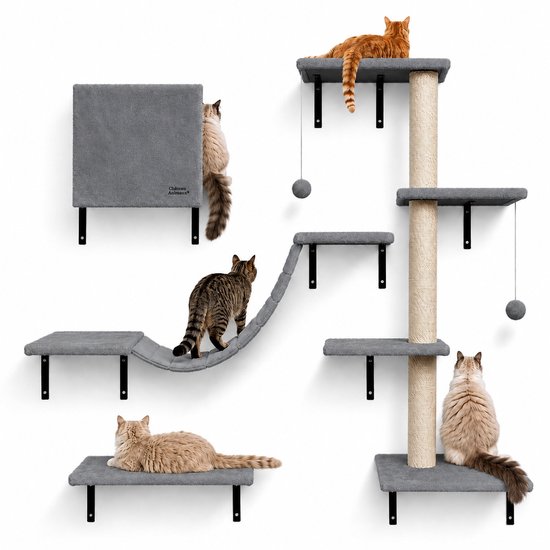 Mur d'escalade pour chat gris avec plateformes, griffoir, niche et pont. Quatre chats explorent le mur.