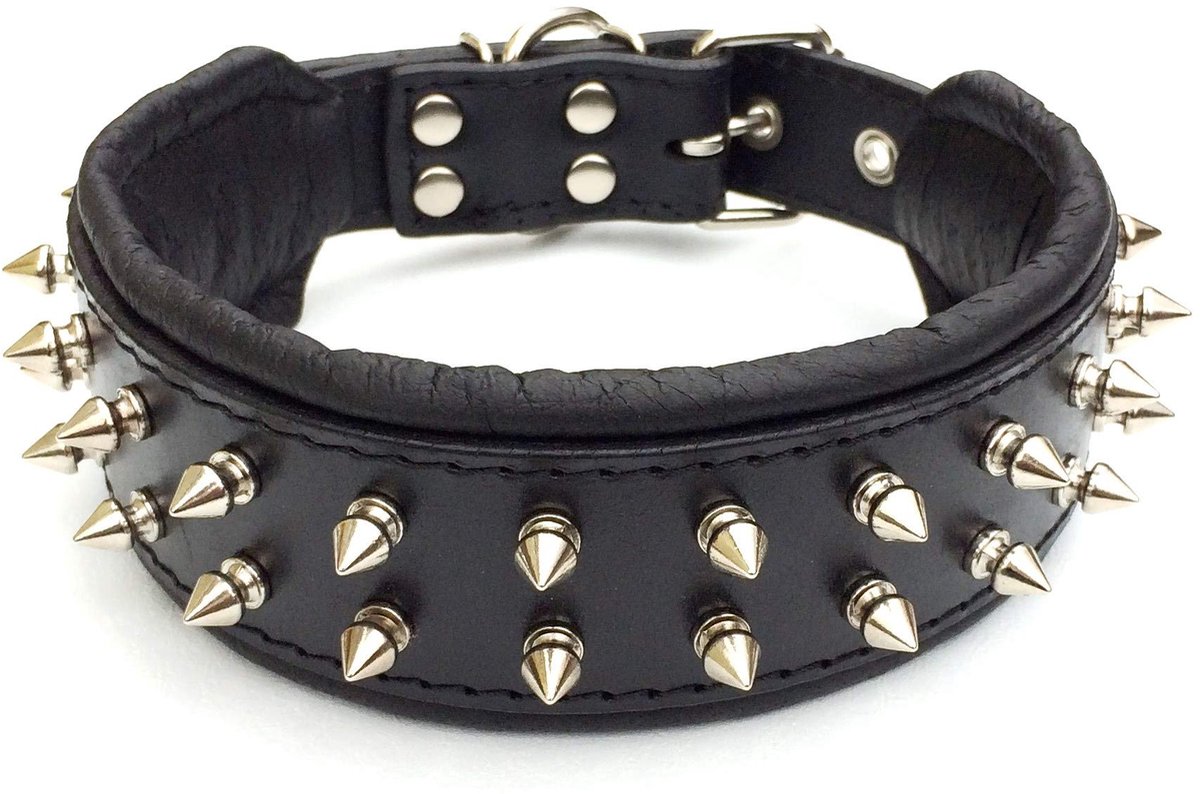 Solidchoice - Nylon Hondenhalsband met Neopreen Voering