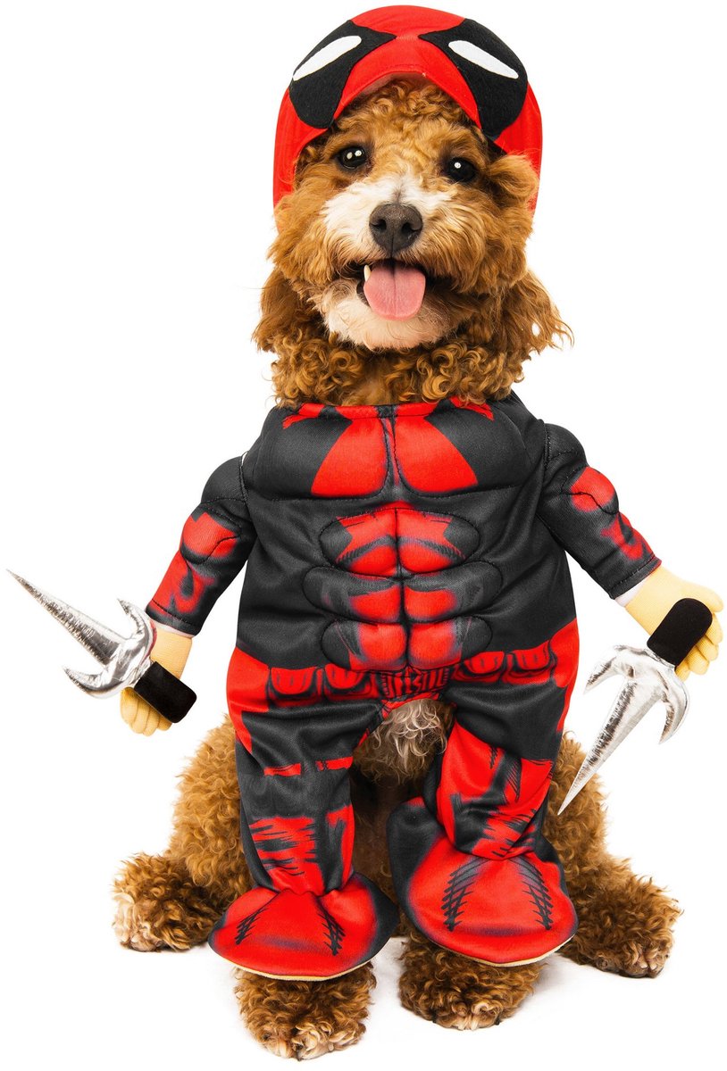 Deadpool Hondenkostuum